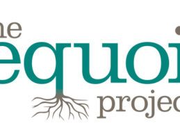 ONC Awards The Sequoia Project to Serve As Recognized Coordinating Entity to Support Interoperability